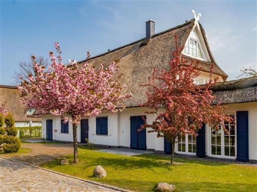 Ferienhaus - 6 Personen -  - Dassow - 23942