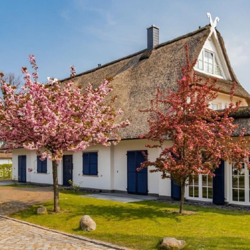 Sommerhus - 6 personer -  - 23942 - Dassow