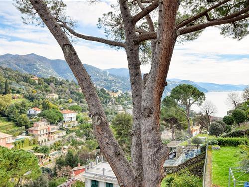 Holiday apartment - 2 persons -  - Via ai Castagneti - 16035 - Rapallo