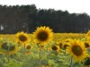 Bild 28