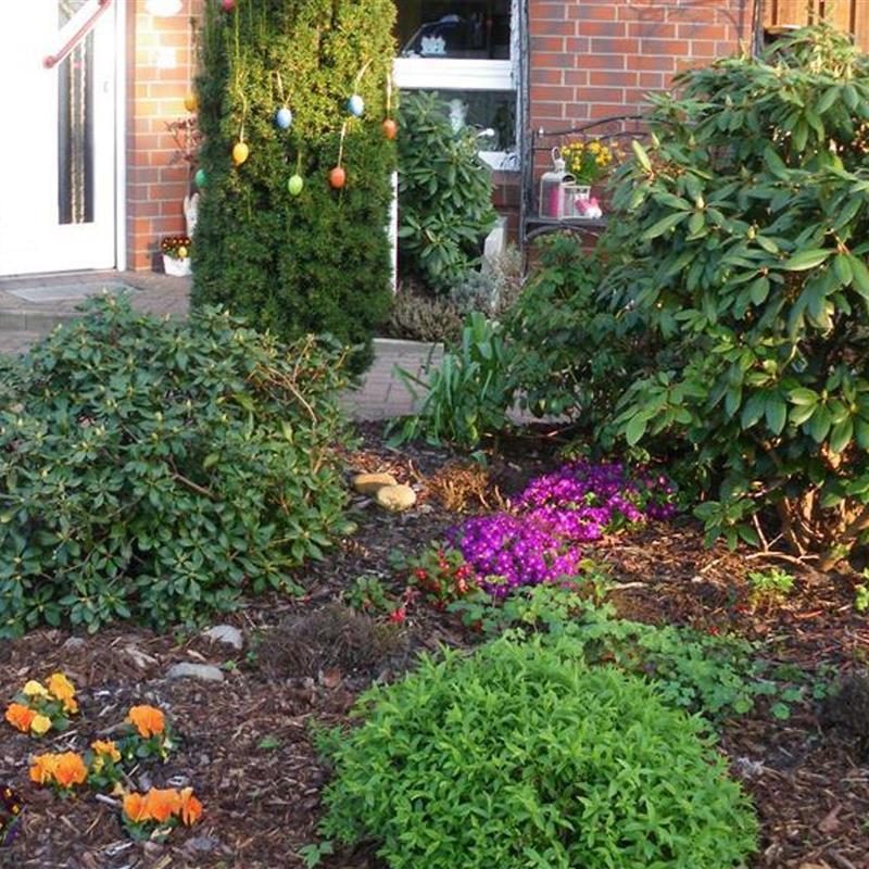 Ferielejlighed - 5 personer -  - Am Jordan 25 b - 29640 - Schneverdingen