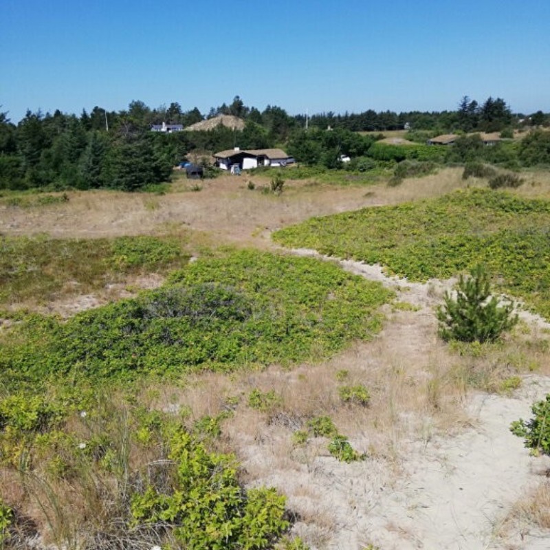 Ferienhaus - 6 Personen -  - Karredvej - Hulsig - 9990