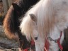 Bild 24