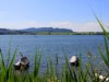 Bild 7 - Ude
