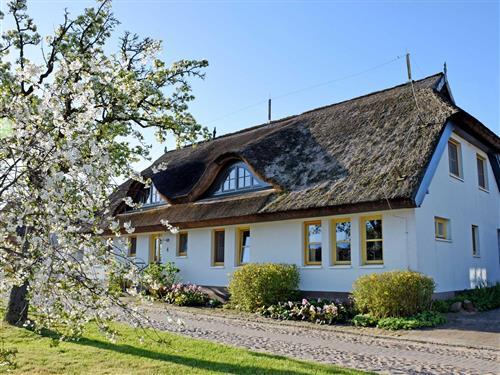 Holiday apartment - 2 persons -  - Neu Reddevitz - 18586 - Lancken-Granitz