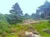 Bild 23