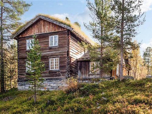 Holiday home - 9 persons -  - Skriuvegen - 2669 - Bjorli