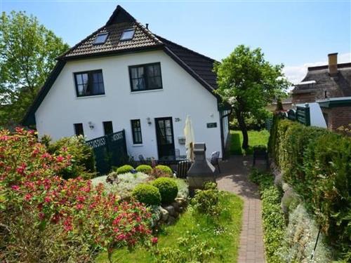 Feriehus - 8 personer -  - Baabe - 18586