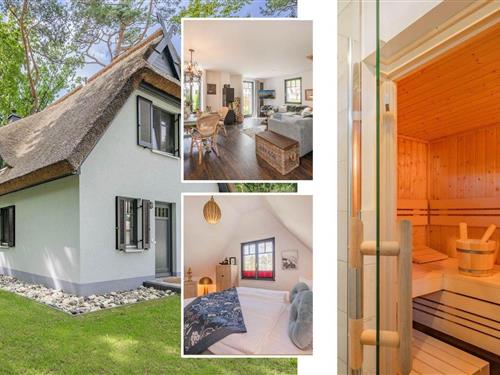 Feriehus - 4 personer -  - Am Kiefernwald - 17419 - Zirchow