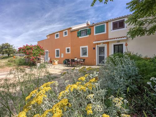 Holiday apartment - 5 persons -  - Obrada Hrgovica - Losinj- Veli Losinj - 51550 - Veli Losinj