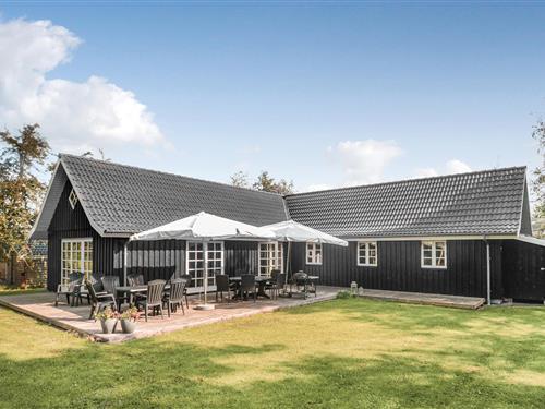 Sommerhus - 12 personer -  - Musestien - Marielyst - 4873 - Væggerløse