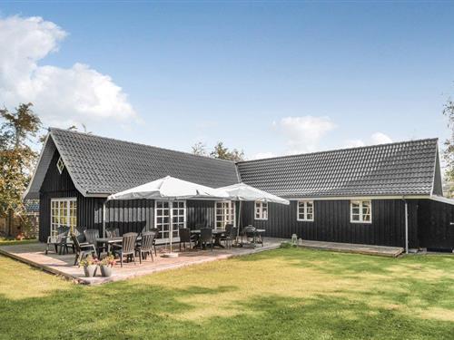 Sommerhus - 12 personer -  - Musestien - Marielyst - 4873 - Væggerløse