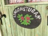 Bild 7 - Ude