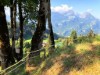 Bilde 4 - Ude