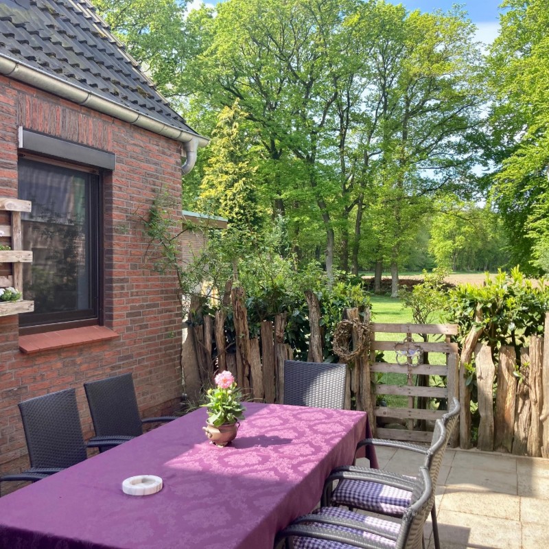 Sommerhus - 8 personer -  - Horn - 21769 - Armstorf