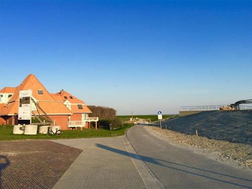 Ferienhaus - 3 Personen -  - 26486 - Wangerooge