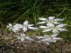 Bild 28