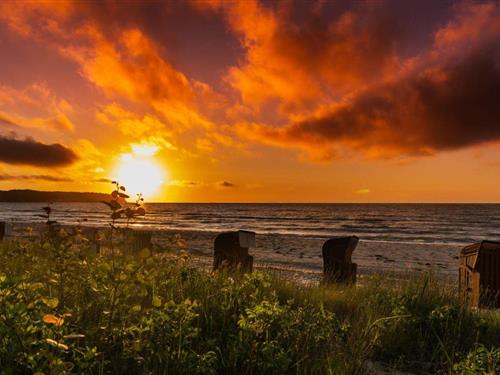Ferielejlighed - 6 personer -  - Göhrener Weg - 18586 - Lobbe