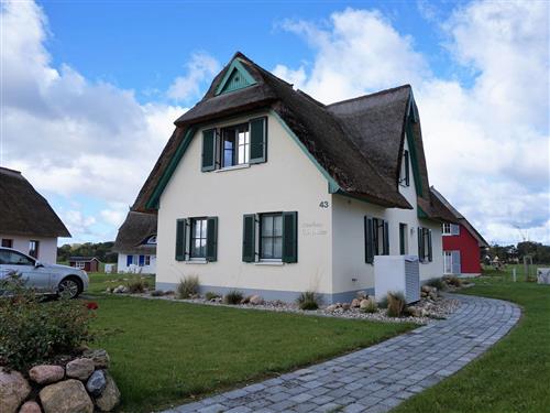 Holiday Home/Apartment - 4 persons -  - De Poeler Drift - 23968 - Zierow