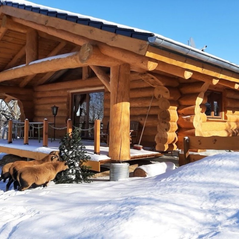 Sommerhus - 3 personer -  - 01723 - Mohorn