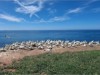 Billede 29