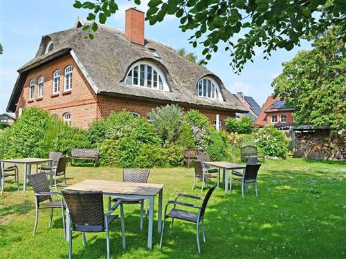 Ferielejlighed - 5 personer -  - Dorfstraße 21 a - 18586 - Middelhagen