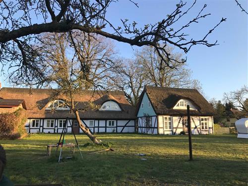 Holiday apartment - 4 persons -  - Kirchsteig - 18356 - Fuhlendorf / Bodstedt