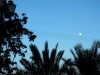 Bilde 36