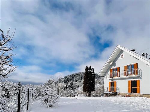 Feriehus - 6 personer -  - Unterhauserweg - 9871 - Seeboden