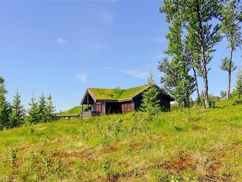 Sommerhus - 7 personer -  - Bualivegen - Golsfjellet - 3550 - Gol