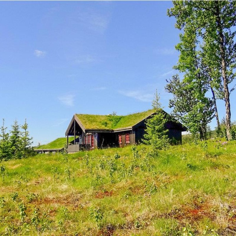 Sommerhus - 7 personer -  - Bualivegen - Golsfjellet - 3550 - Gol