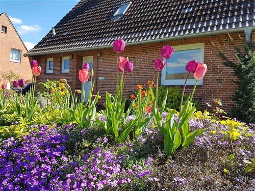 Sommerhus - 4 personer -  - Kanalblick - 24783 - Osterrönfeld