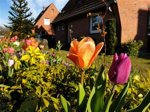 Ferienhaus - 4 Personen -  - Kanalblick - 24783 - Osterrönfeld