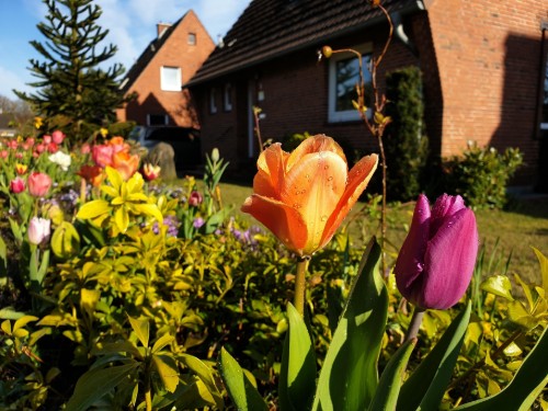 Sommerhus - 4 personer -  - Kanalblick - 24783 - Osterrönfeld