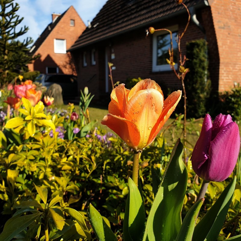 Sommerhus - 4 personer -  - Kanalblick - 24783 - Osterrönfeld