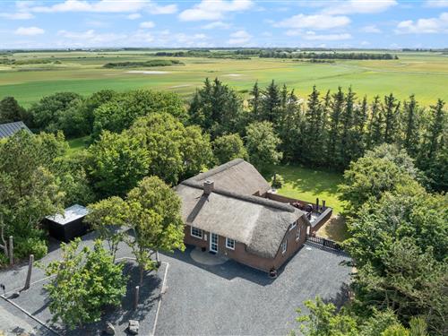 Sommerhus - 8 personer -  - Gransangervej - Lodbjerg Hede - 6950 - Ringkøbing