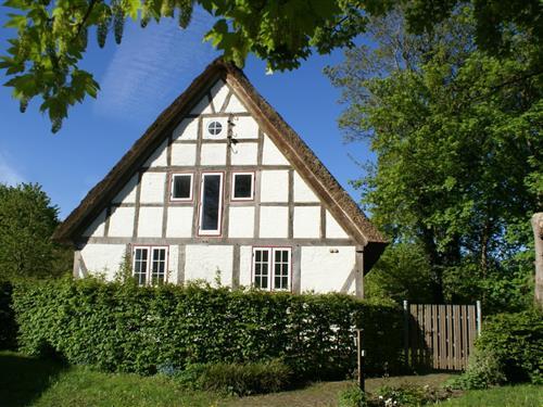 Holiday Home/Apartment - 5 persons -  - Eichenallee - 24340 - Windeby