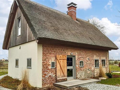 Sommerhus - 4 personer -  - Wischenpeen - Usedom - 17406 - Warthe