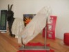 Bild 34 - Inde