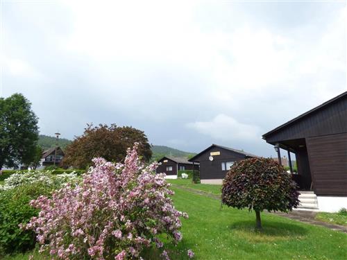 Feriehus - 4 personer -  - Auf dem Meierhof - 37642 - Holenberg