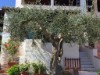 Image 4 - Outside