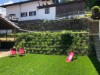 Billede 26