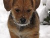 Bild 16
