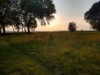 Billede 24