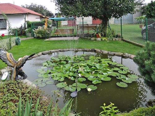 Vakantiehuis - 5 personen -  - 72-514 - Kolczewo