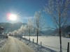 Bilde 3