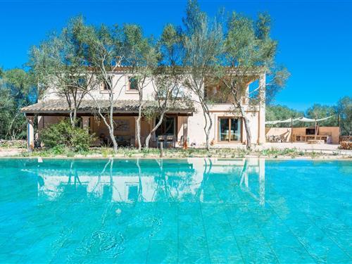 Sommerhus - 8 personer -  - 07144 - Costitx, Illes Balears