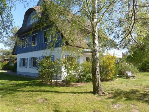 Ferielejlighed - 4 personer -  - In de Wischen - 18375 - Wieck A. Darß