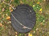 Bild 17