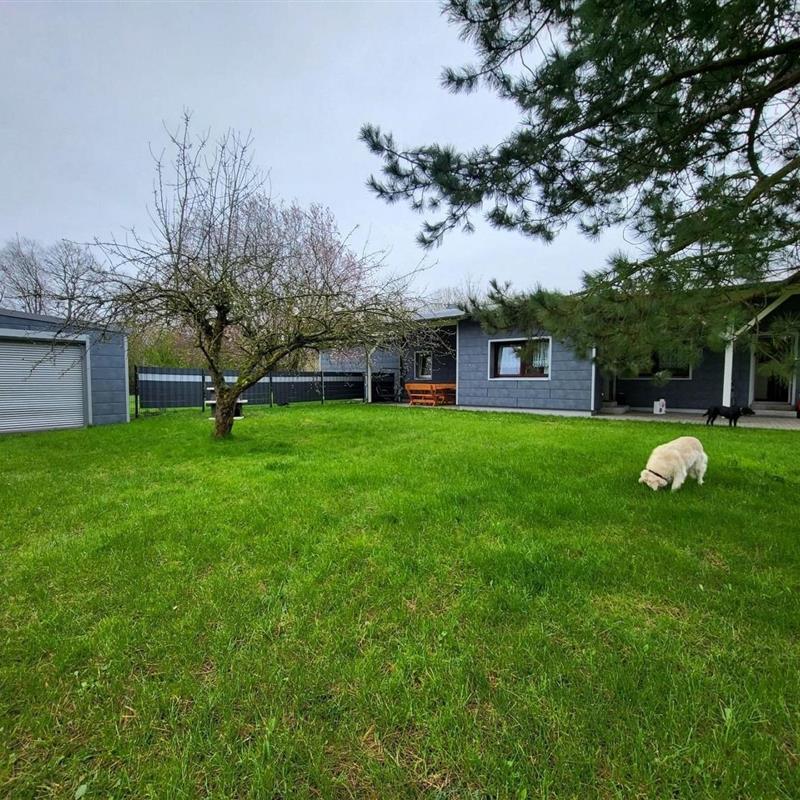 Ferielejlighed - 3 personer -  - Lanckensburg - 18556 - Altenkirchen